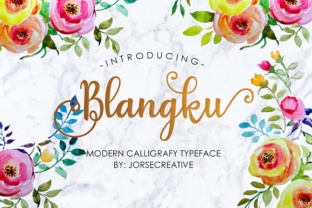 Blangku Font: A Designer’s Take on Fluid Script Branding