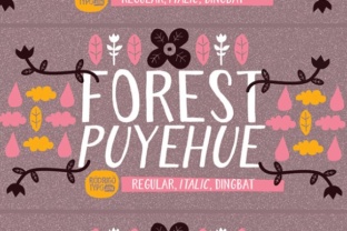 Forest Puyehue Font Review for Organic Brand Identity