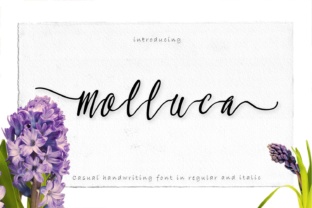 Molluca Font: Elevating Small Business Branding