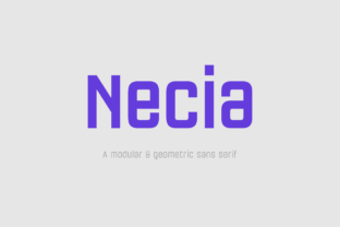 Necia Family Font for Modern Editorial Layouts