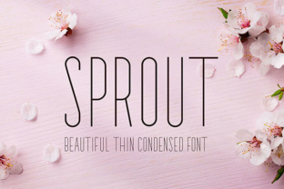 Sprout Font: Delicate Sans Serif for Wedding Campaigns