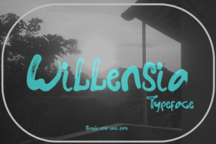 Willensia Font Review for Social Media Campaigns